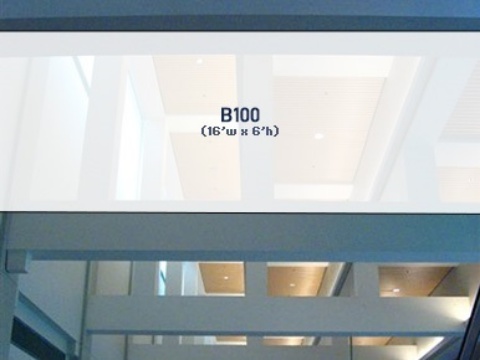 Picture of B100