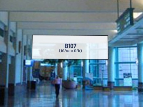 Picture of B107