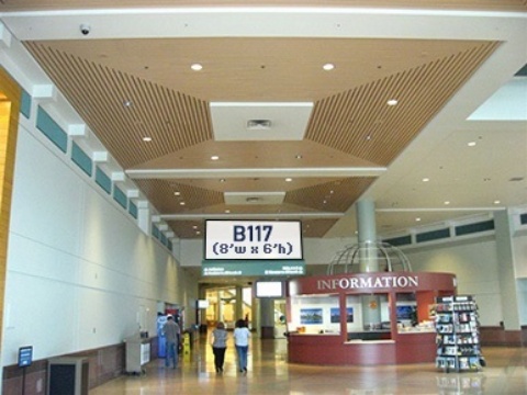 Picture of B117