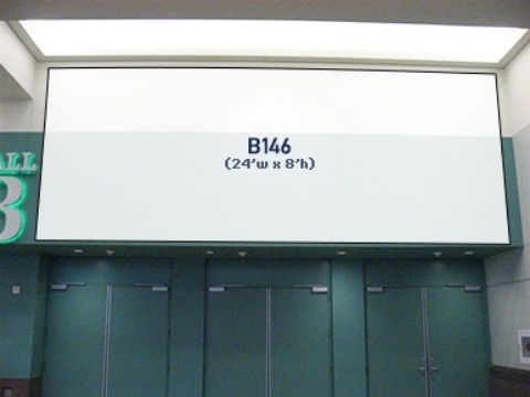 Picture of B146