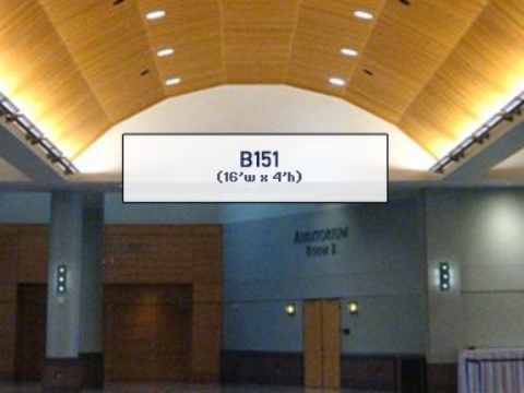 Picture of B151