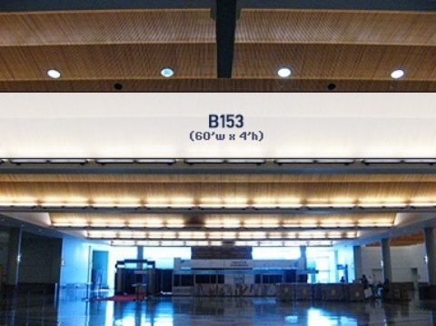 Picture of B153