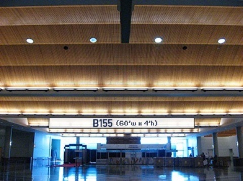 Picture of B155