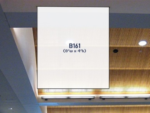 Picture of B161