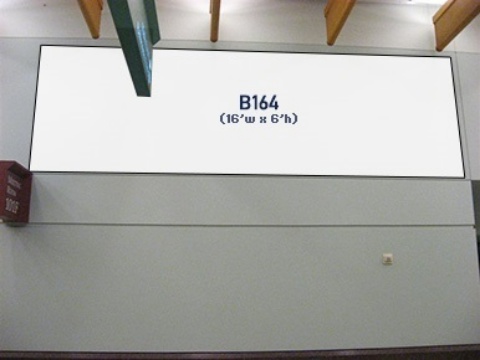Picture of B164