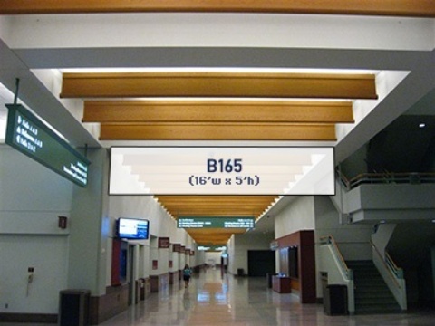 Picture of B165