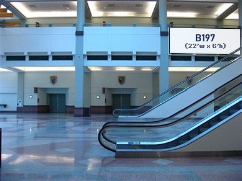 Picture of B197