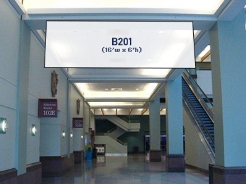 Picture of B201