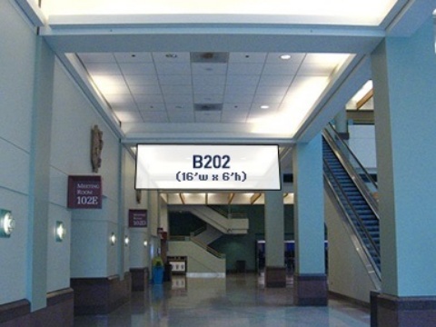 Picture of B202