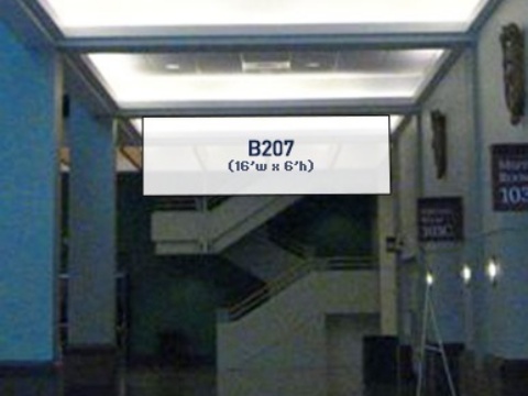 Picture of B207