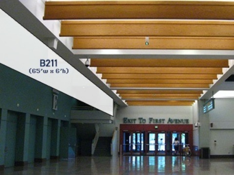 Picture of B211