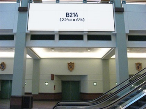 Picture of B214