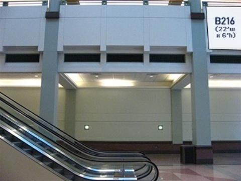 Picture of B216
