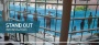 Picture of Window Clings